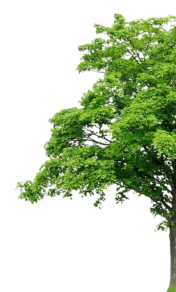 Nature element