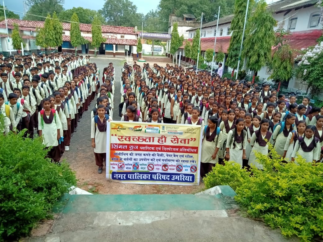 Tree Plantation Drive